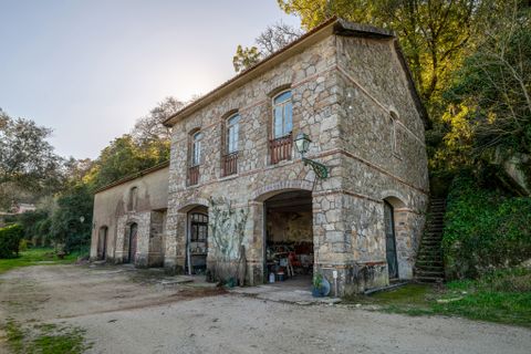 Landsbyhus i Sintra, Lisbon, Sintra - € 16.500.000 | Ref: W-02WJ84 - foto 9
